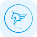 飞马付费VPN