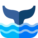 白鲸付费VPN