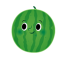 西瓜付费VPN